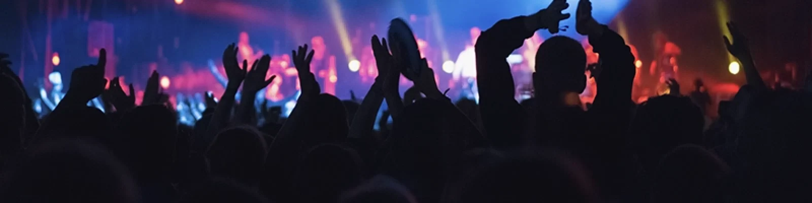 Crowd Cheering at Concert